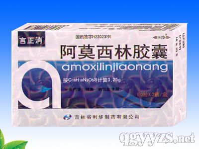 ������0.25g��20����Ī�����z��