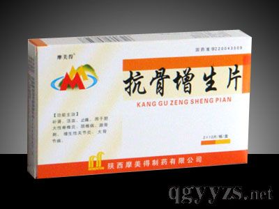 ��������Ƭ