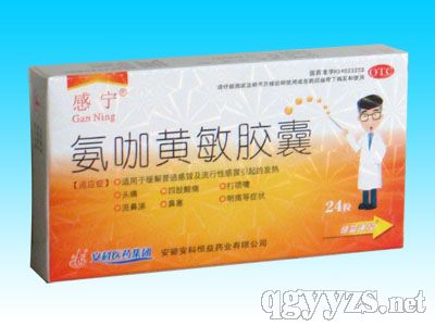 氨咖黃敏膠囊(感寧)12粒*2板