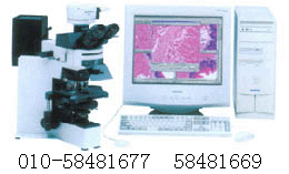 �@΢�D�����ϵ�y(t��ng)�a(ch��n)Ʒ�DƬ