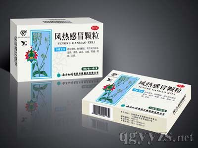 風(fēng)熱感冒顆粒(特色藥品)