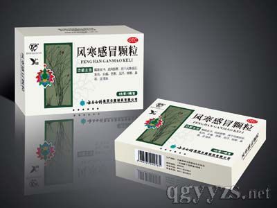 風(fēng)寒感冒顆粒(特色藥品)