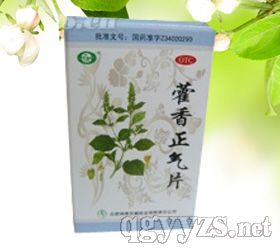 ޽������Ƭ