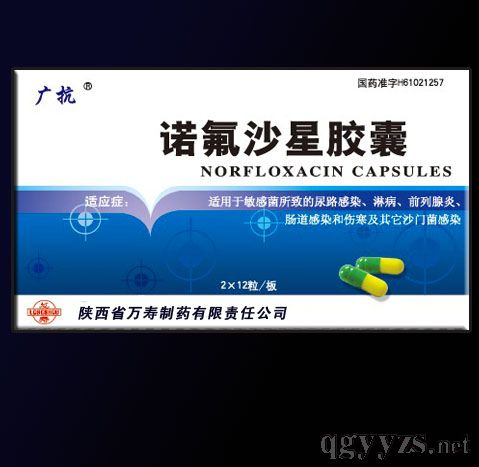 諾氟沙星膠囊