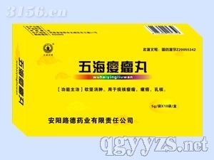 �庣�`����