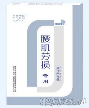 磁療巴布貼-腰肌勞損貼2貼裝