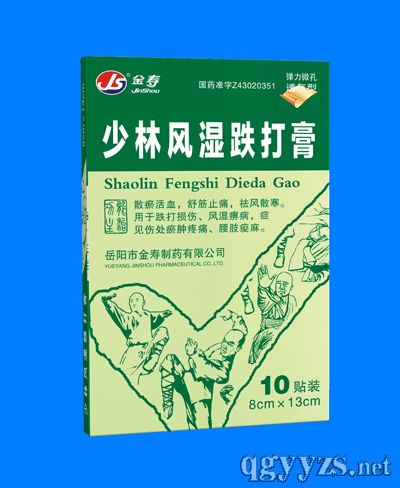 少林風(fēng)濕跌打膏1