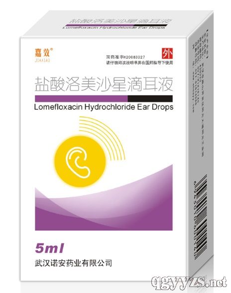 鹽酸洛美沙星滴耳液