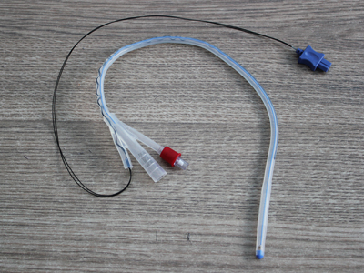 �М��Ԍ�(d��o)���