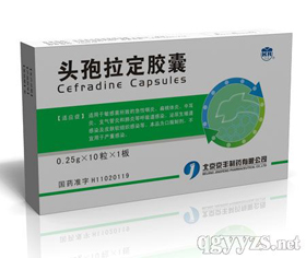 �^�������z��0.25g*10��*1��