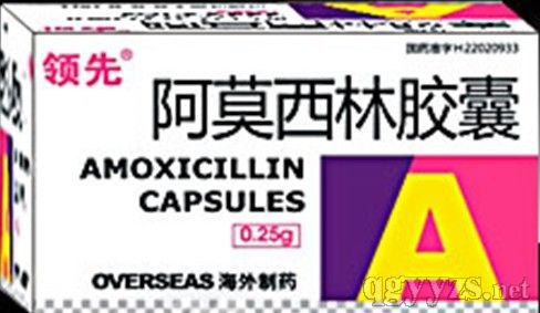 阿莫西林膠囊