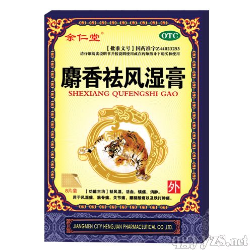 麝香祛風(fēng)濕膏