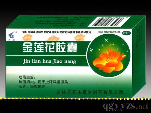 ��ɏ���z��