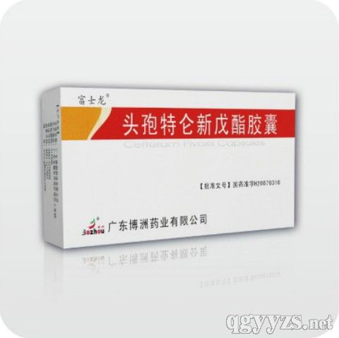 �^���؁��������z��