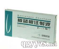 板藍(lán)根注射液
