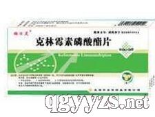 ����ù��������Ƭ