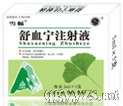 舒血寧注射液