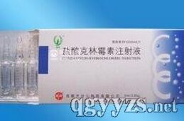 鹽酸克林霉素注射液