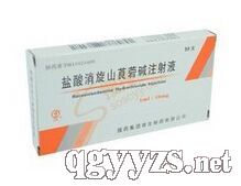 鹽酸消旋山莨菪堿注射液