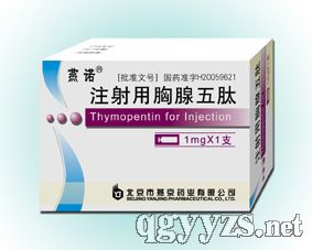 ע������������