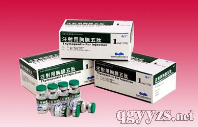 ע������������