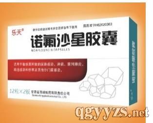 �Z��ɳ���z��