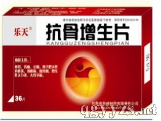 ��������Ƭ