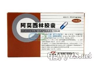 ��Ī�����z��