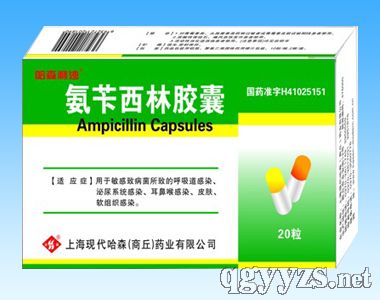 ���S�����z��