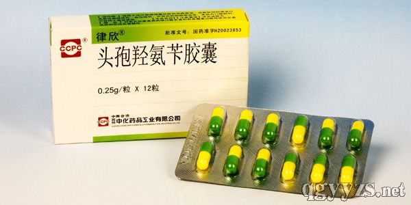 �^���u���S�z��