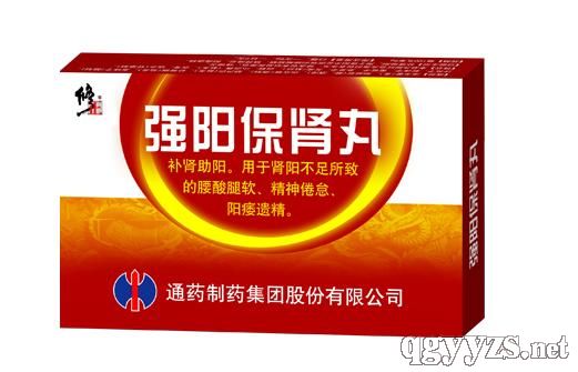 強(qiáng)陽(yáng)保腎丸