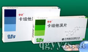 �������IƬ