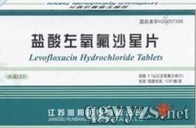 鹽酸左氧氟沙星片