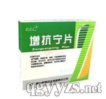 ������Ƭ