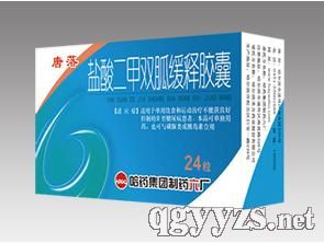 鹽酸二甲雙胍緩釋膠囊