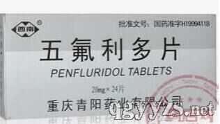 �������Ƭ