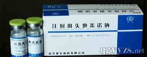 注射用頭孢米諾鈉