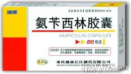 氨芐西林膠囊