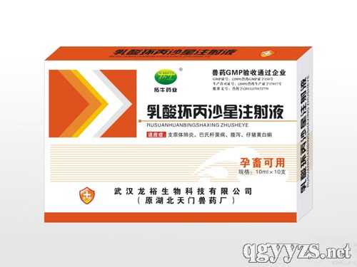 乳酸環(huán)丙沙星注射液