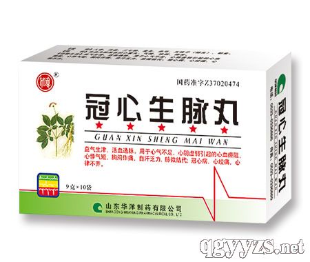 冠心生脈丸10袋新