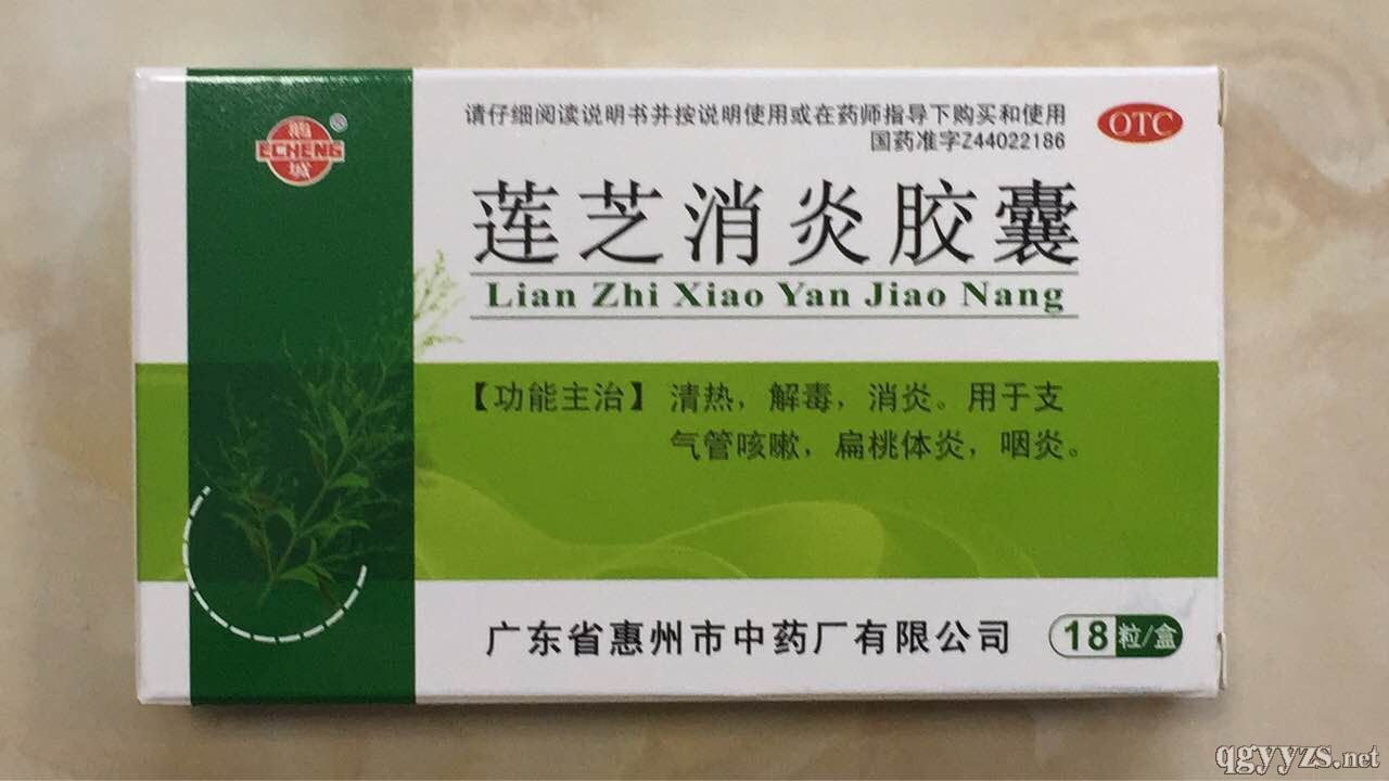 ɏ֥�����z��