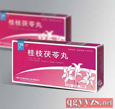 桂枝茯苓丸(汝宮化留)