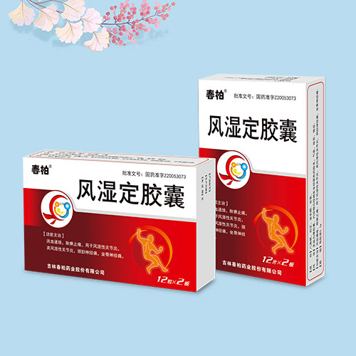 風(fēng)濕定膠囊