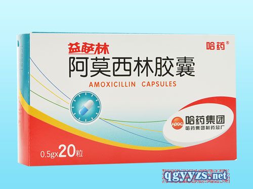 阿莫西林膠囊