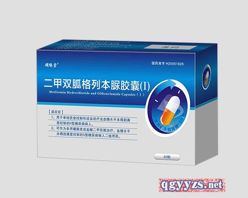 二甲雙胍格列本脲膠囊Ⅰ