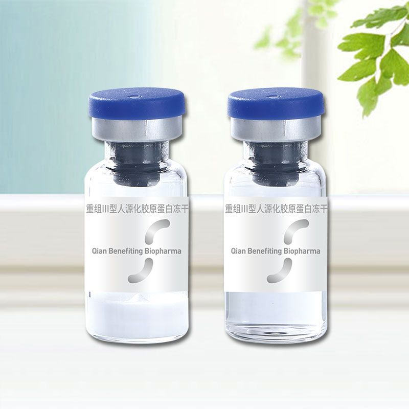 重組III型人源化膠原蛋白凍干敷料