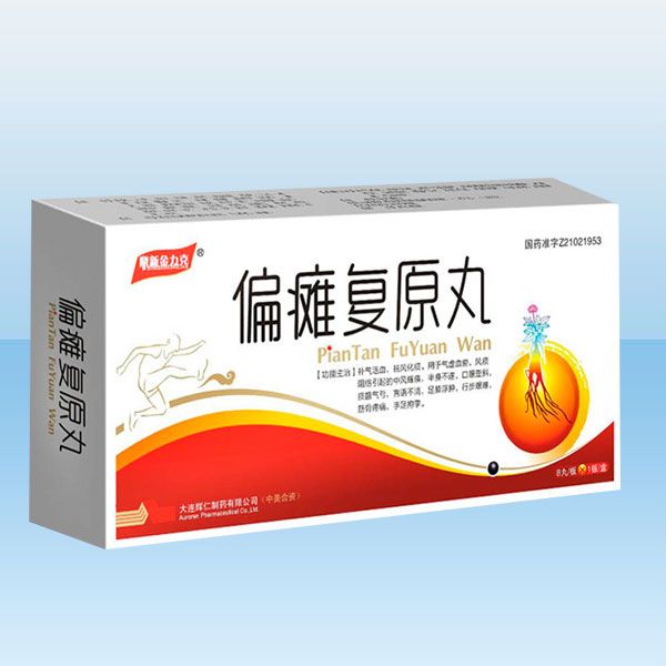 偏癱復(fù)原丸