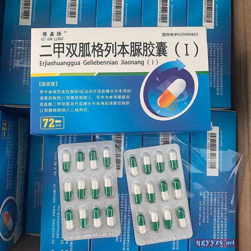 二甲雙胍格列本脲膠囊Ⅰ