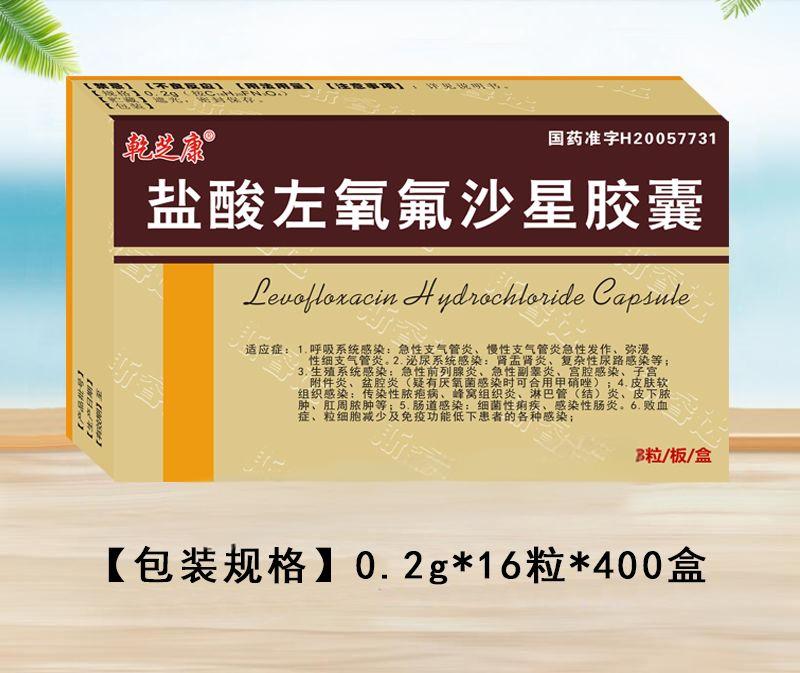鹽酸左氧氟沙星膠囊