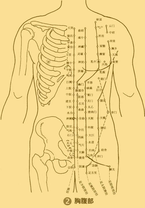 �����N����